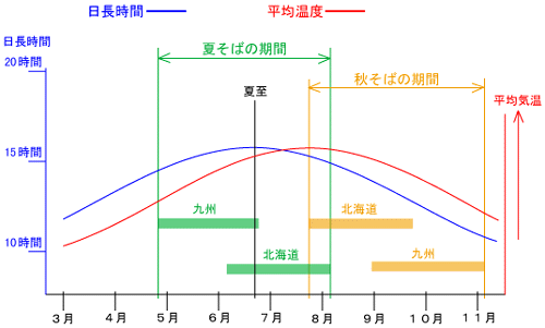 日長と温度と栽培のグラフ